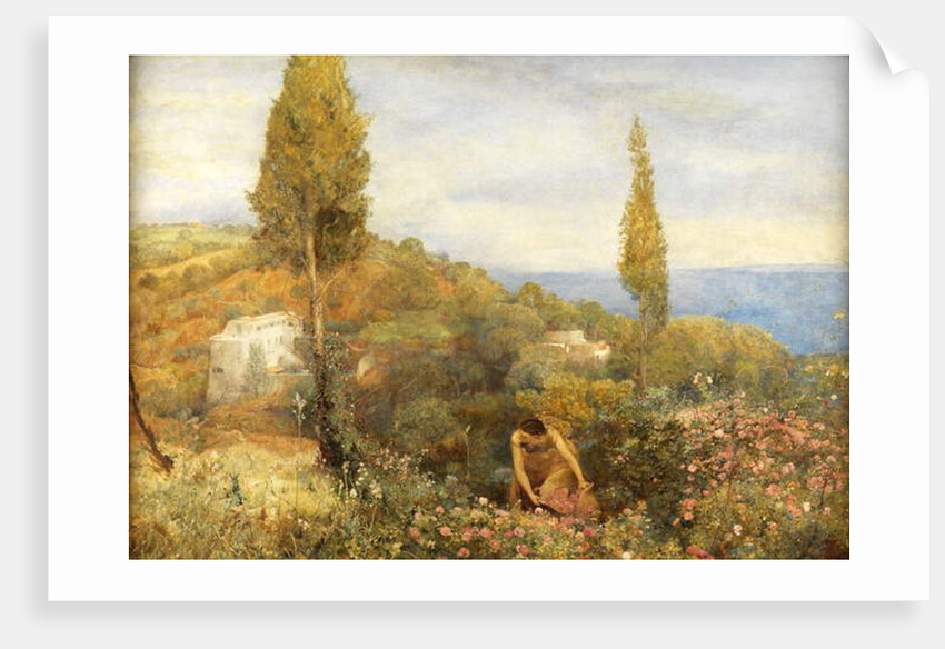 Roses, Asphodel, and Cypress - Algeria by John William North