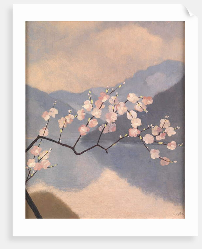 Blossom on the Lake by Giovan Battista Costa