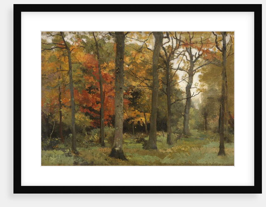 Autumn Leaves by Cyrus Johnson