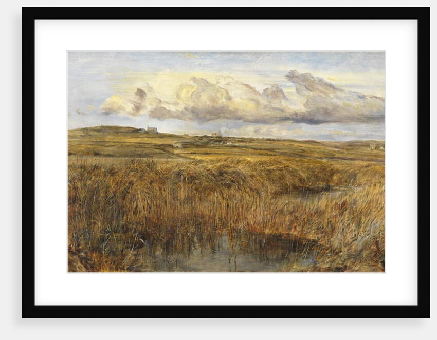 Rhoscolyn, Anglesey by William Joseph J.C. Bond