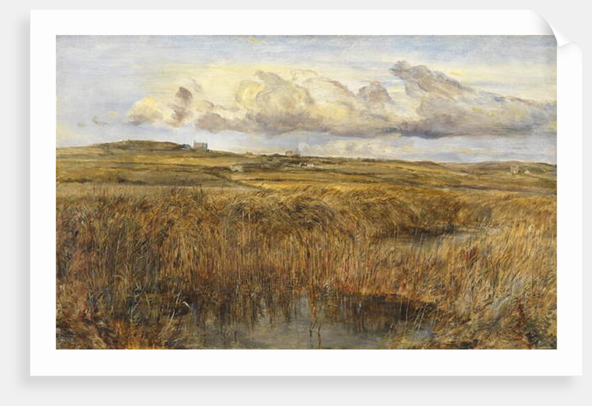 Rhoscolyn, Anglesey by William Joseph J.C. Bond