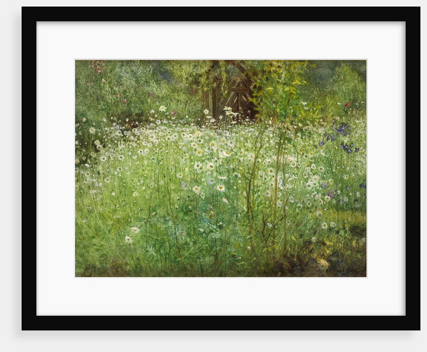 Oxeye Daisies and Irises, 1920 by Arthur Hacker