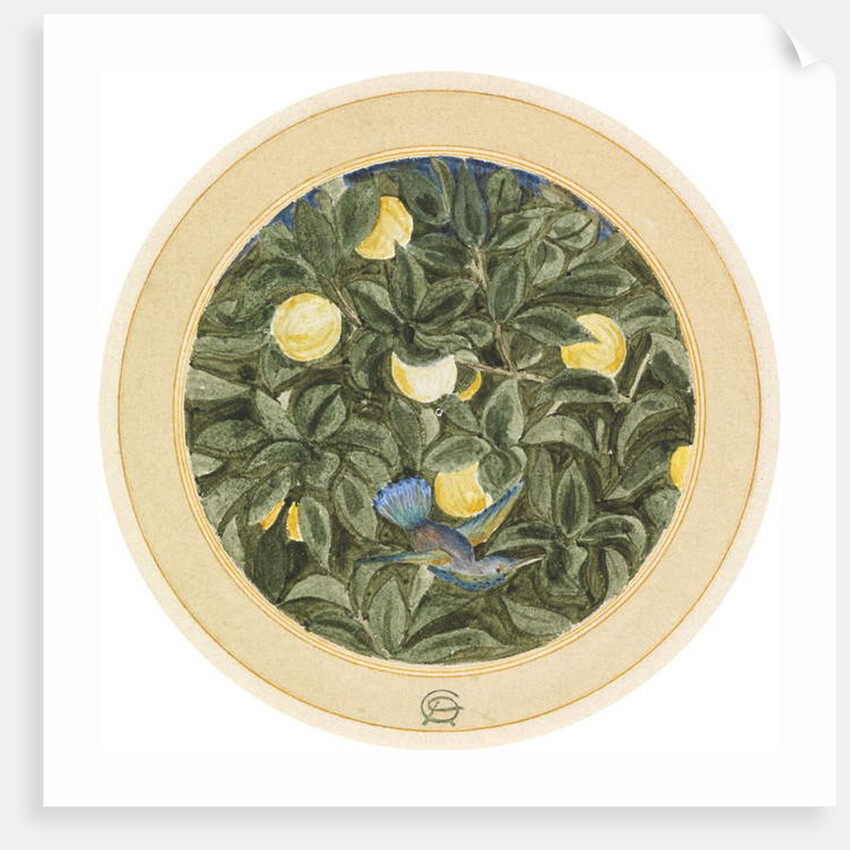 The Hummingbird by James Smetham