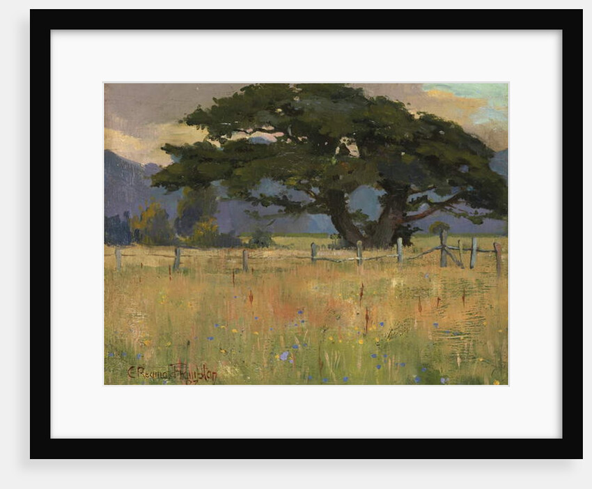 A Meadow beneath Mountains, 1897 by Edward Reginald Frampton