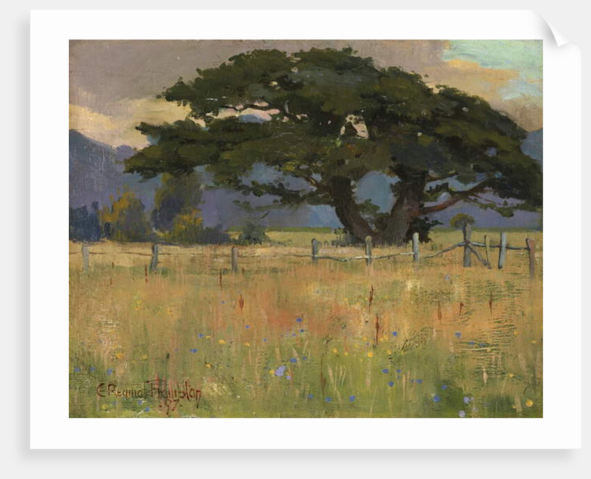 A Meadow beneath Mountains, 1897 by Edward Reginald Frampton