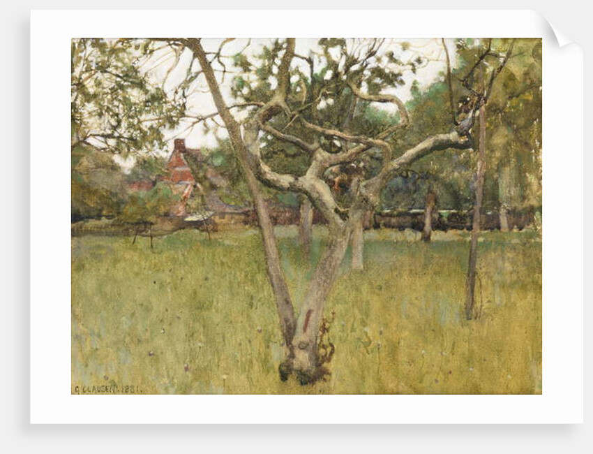 An Orchard, 1881 by George Clausen