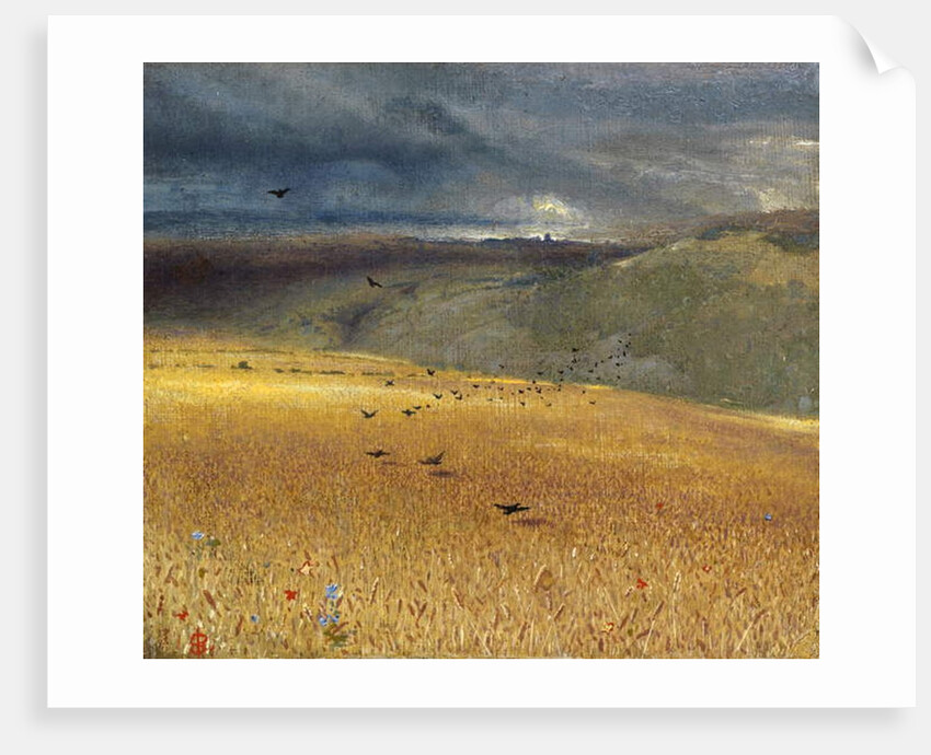 Wheatfield by John Samuel Raven