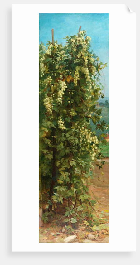 Hops, 1882 by Philip Hermogenes Calderon