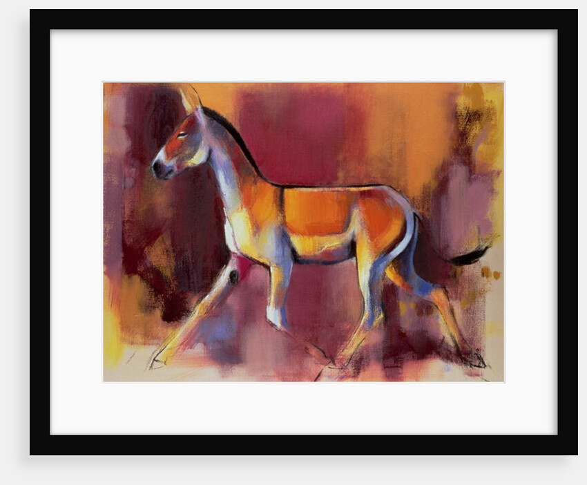 Wild Ass, Rann of Kutch, 1996 by Mark Adlington