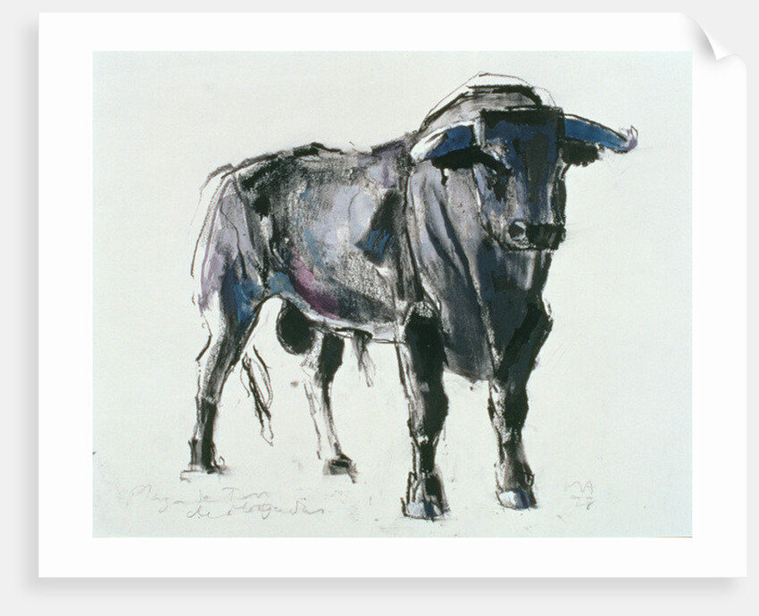 Plaza de Toros de Miajadas, 1998 by Mark Adlington