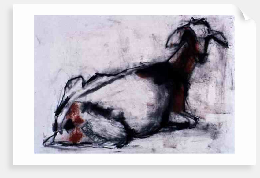 Seated Goat, 1998 by Mark Adlington