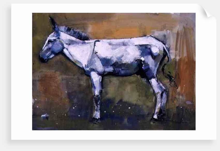Donkey Stallion, Ronda, 1998 by Mark Adlington