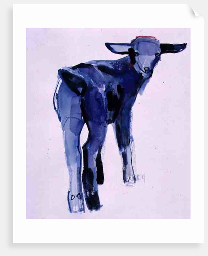 Blue Kid, Cazalla de la Sierra, 1999 by Mark Adlington