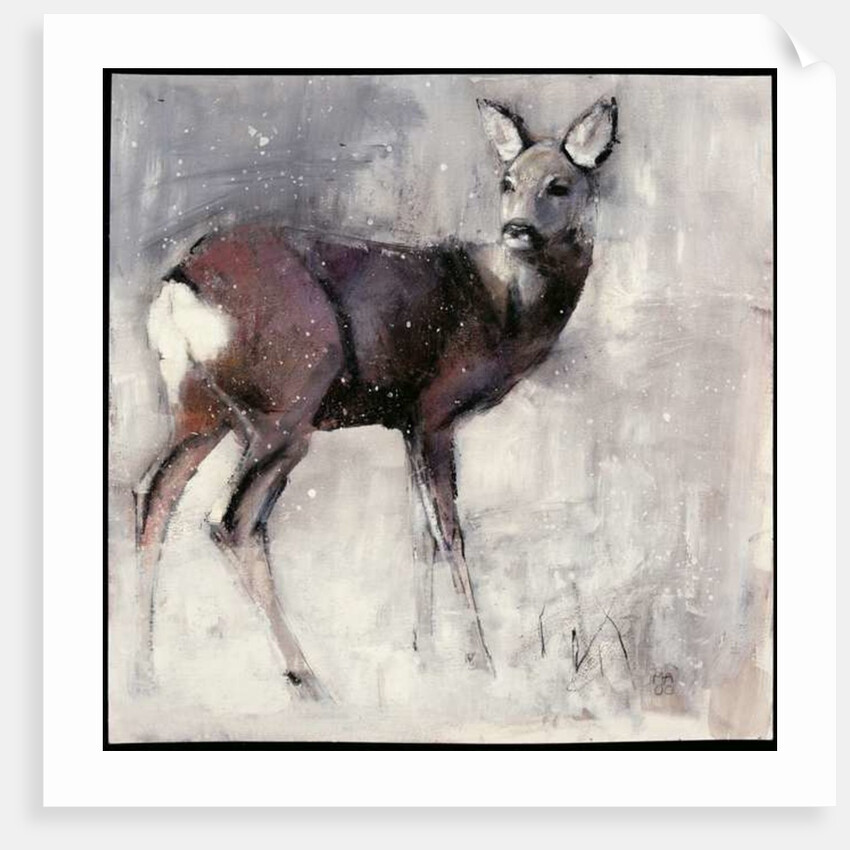 Roe Doe, 2000 by Mark Adlington