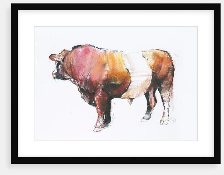 Zeus 2006 by Mark Adlington