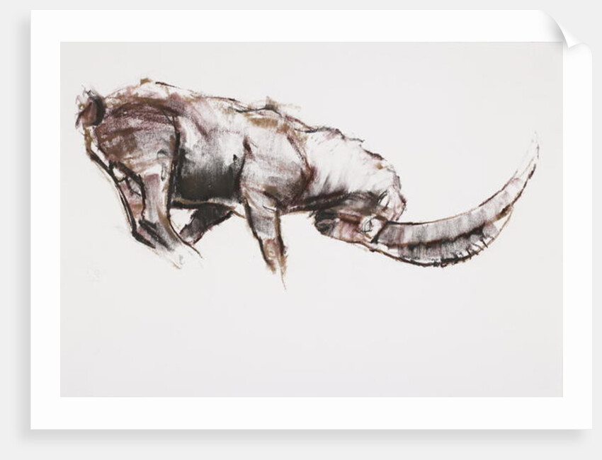 Challenge by Mark Adlington