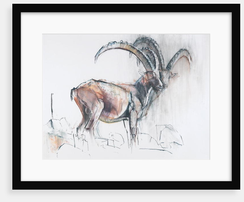 Col di Vermianaz by Mark Adlington