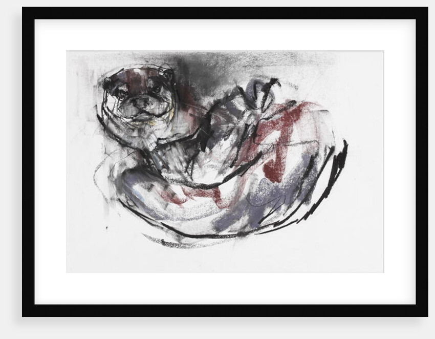 Dog Otter by Mark Adlington