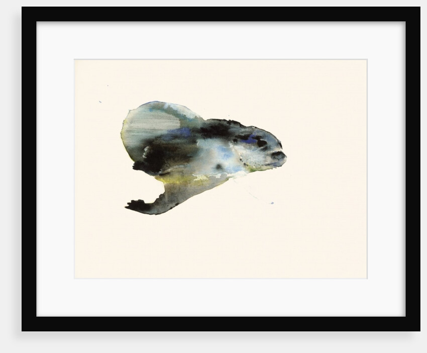 Underwater by Mark Adlington