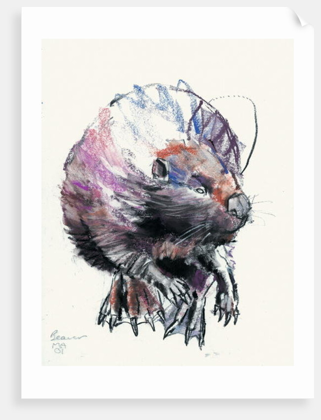 Beaver, 2001 by Mark Adlington