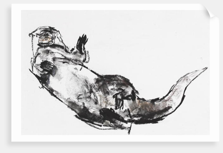 Hi by Mark Adlington