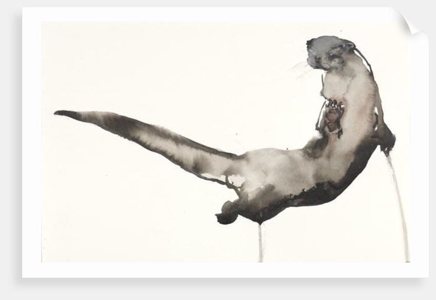 Back Awash by Mark Adlington