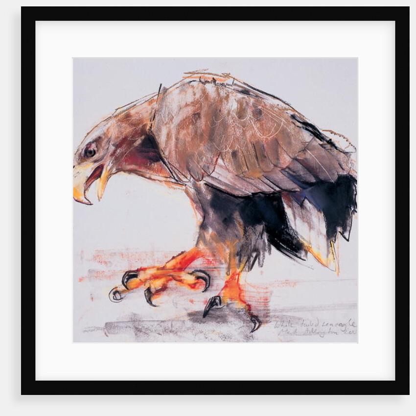 Raptor, 2001 by Mark Adlington