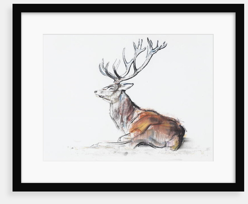 Seated Stag, 2006 by Mark Adlington