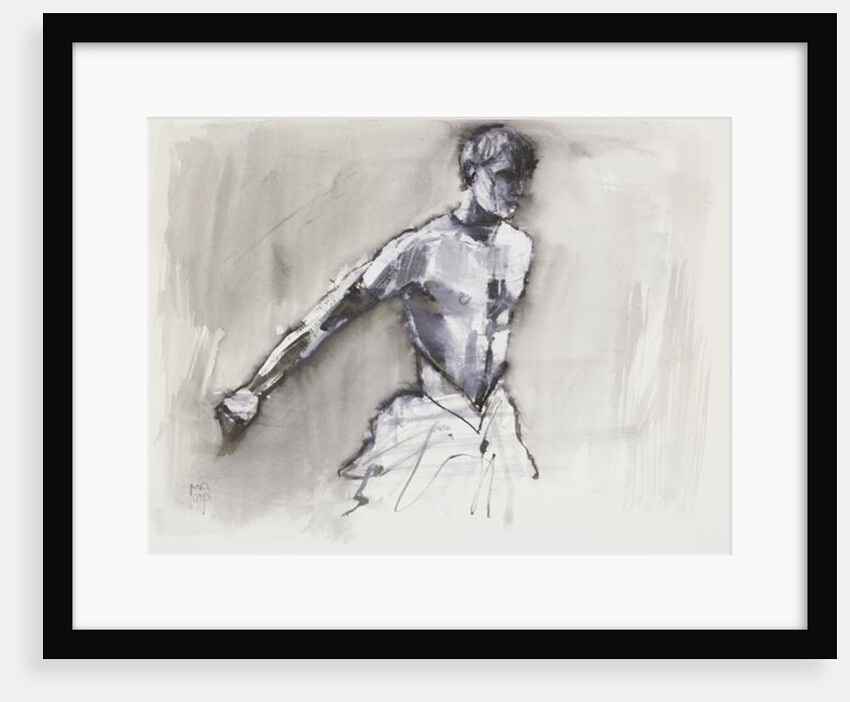 Swan Lake, 2001 by Mark Adlington