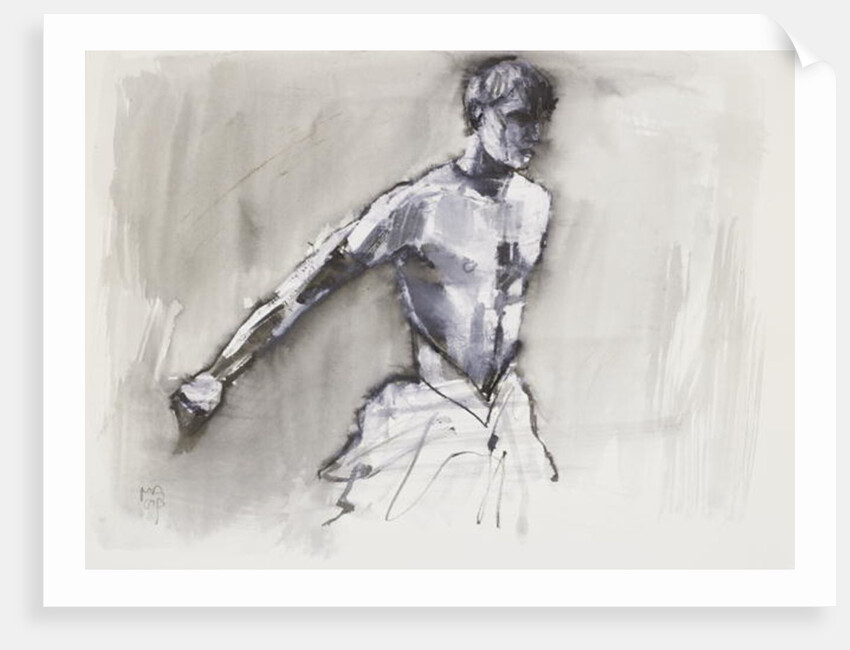 Swan Lake, 2001 by Mark Adlington