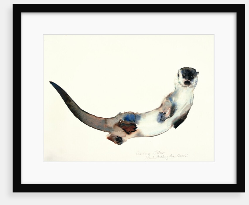 Curious Otter, 2003 by Mark Adlington
