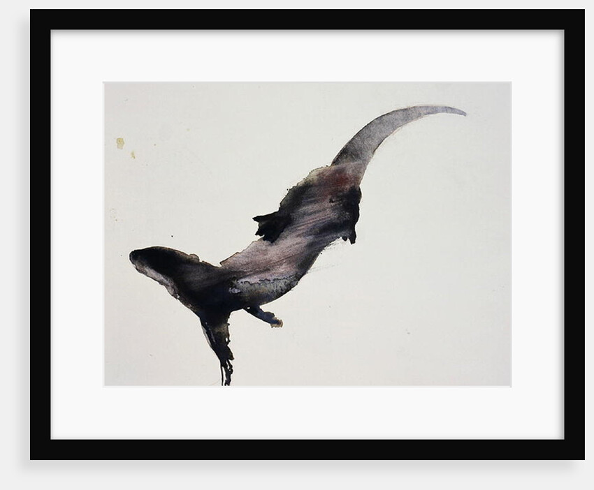 Slipstream by Mark Adlington