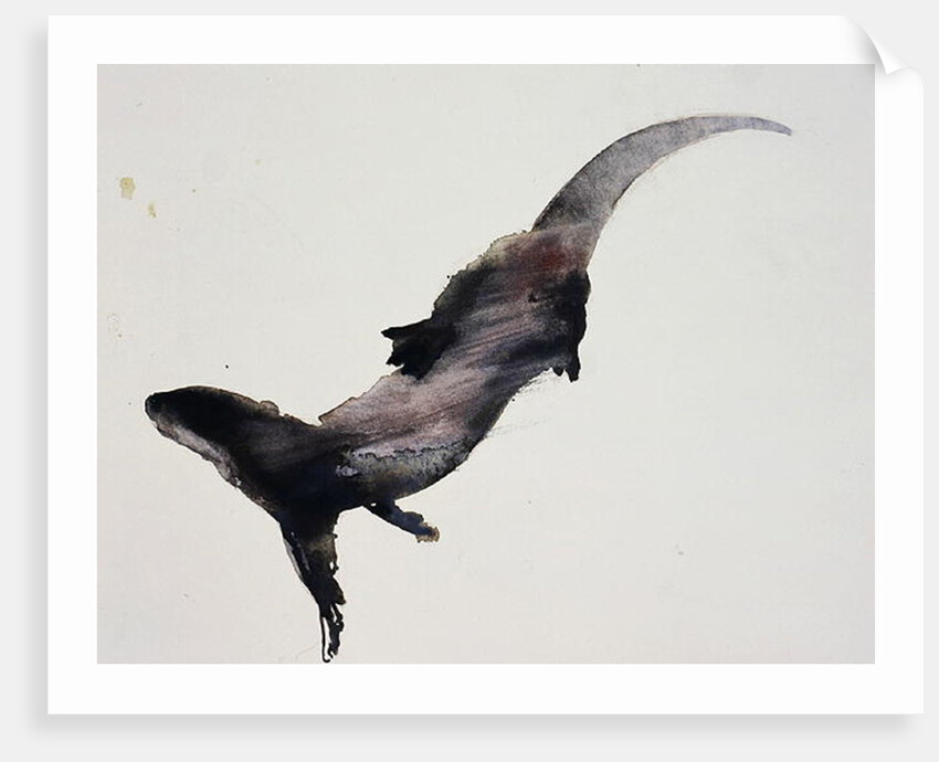 Slipstream by Mark Adlington