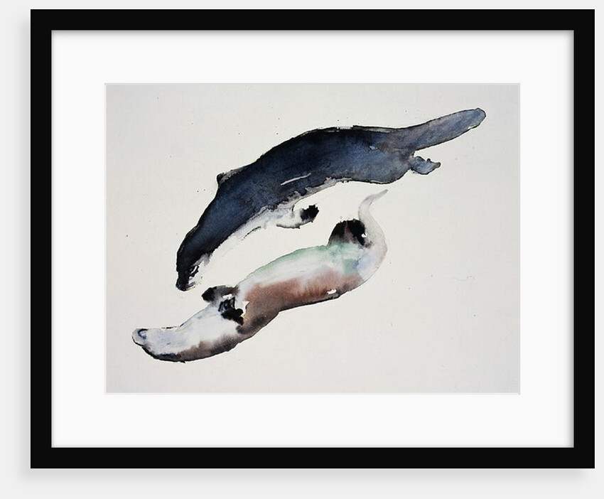 Yin Yang by Mark Adlington