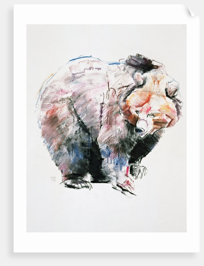 Bear by Mark Adlington