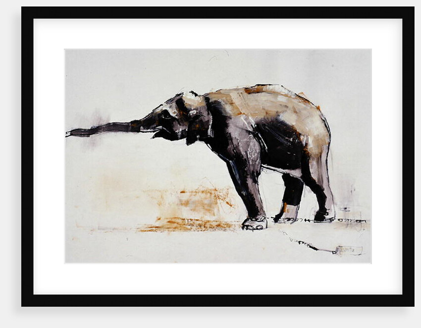 Indian Elephant, Khana by Mark Adlington