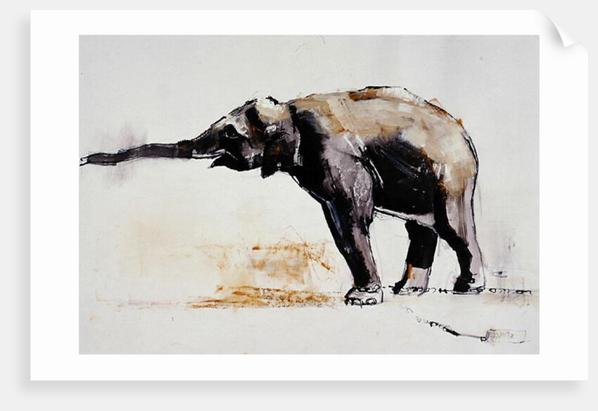 Indian Elephant, Khana by Mark Adlington