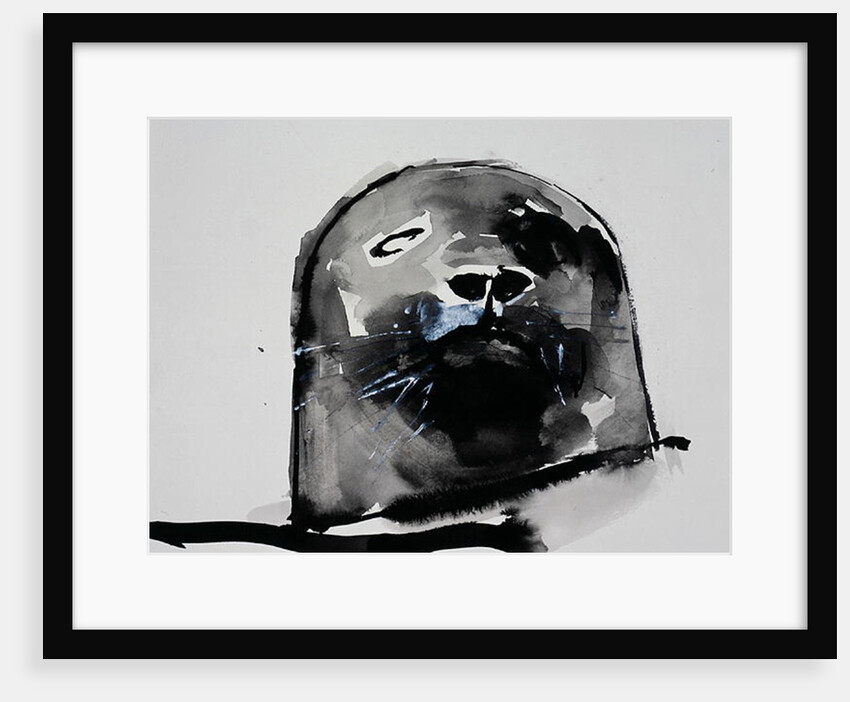 Harbour seal, West Cove by Mark Adlington