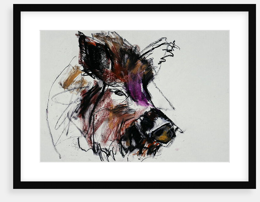 Dzik, 1990s by Mark Adlington