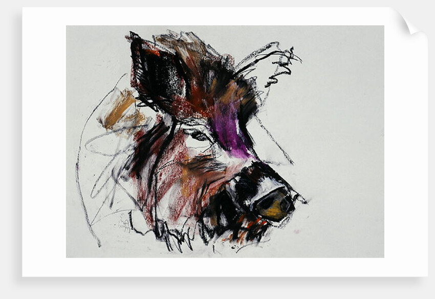 Dzik, 1990s by Mark Adlington