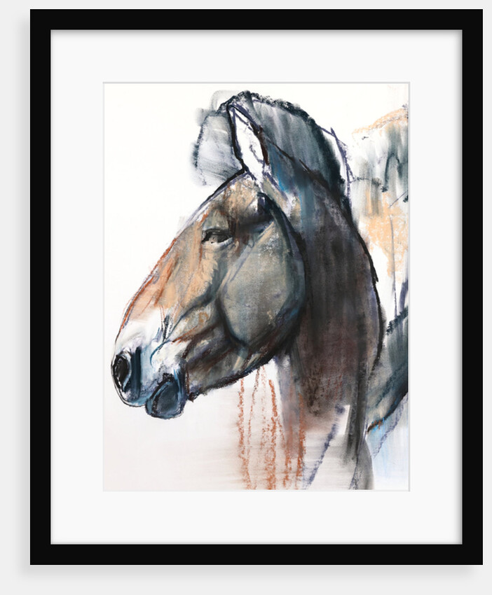 Head Study, Przewalski, 2013 by Mark Adlington