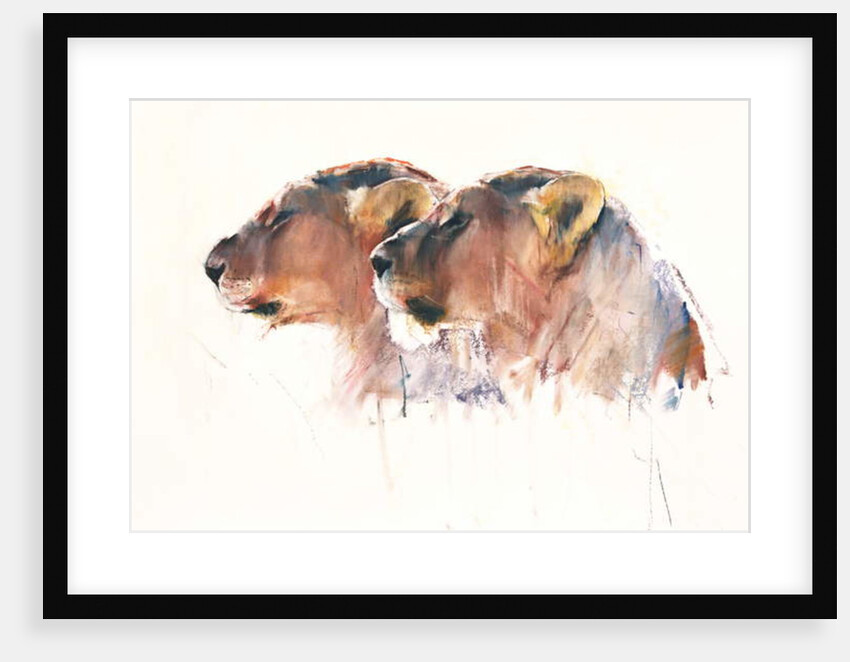 Sisters, Etosha, 2017 by Mark Adlington