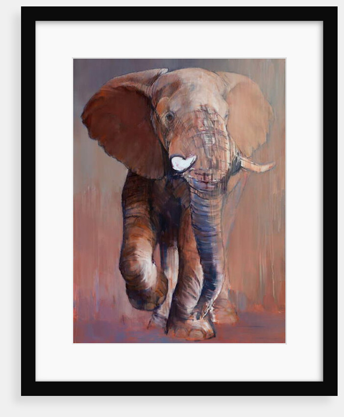 Loisaba Bull, 2018 by Mark Adlington