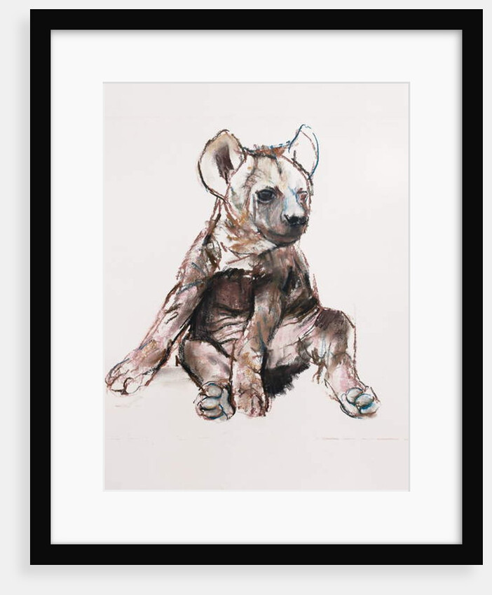 Hyaena Pup, 2019 by Mark Adlington