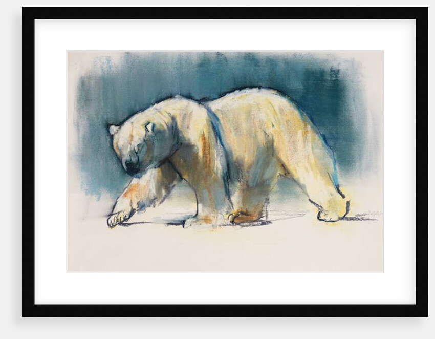 Arctic Light, 2017 by Mark Adlington