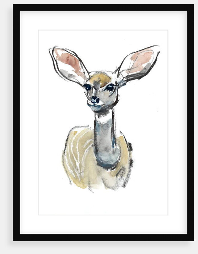 Kudu Fawn, Sarara, 2018 by Mark Adlington
