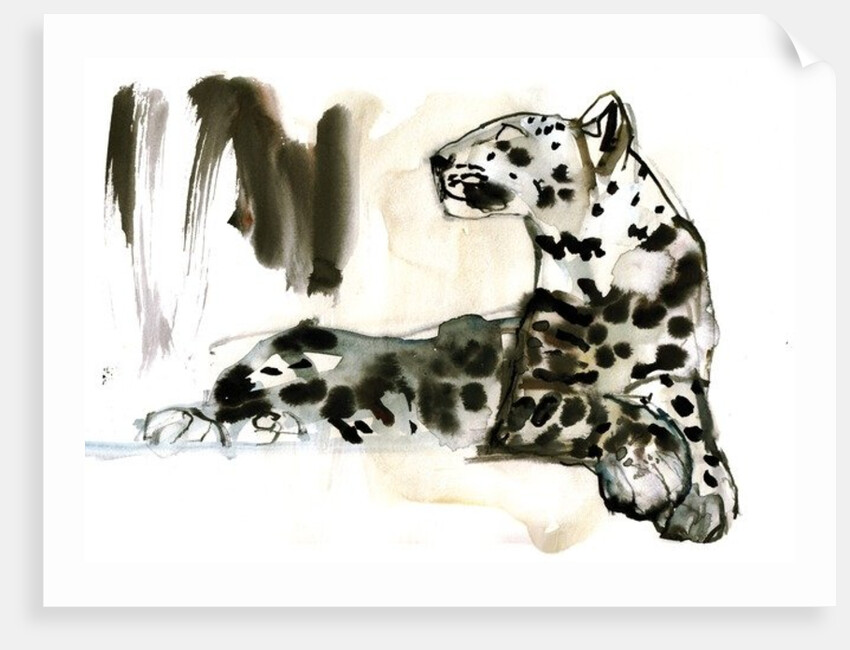 Arabian Leopard, 2008 by Mark Adlington