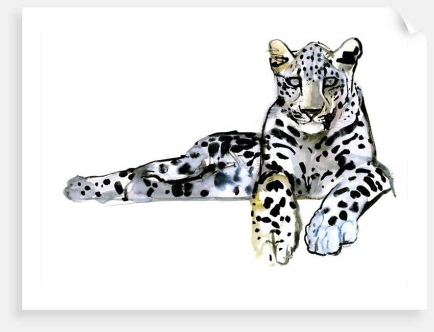 Arabian Leopard, 2008 by Mark Adlington