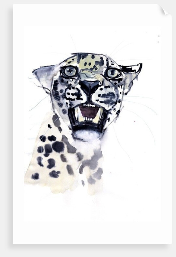 Incisor Snarl, 2008 by Mark Adlington