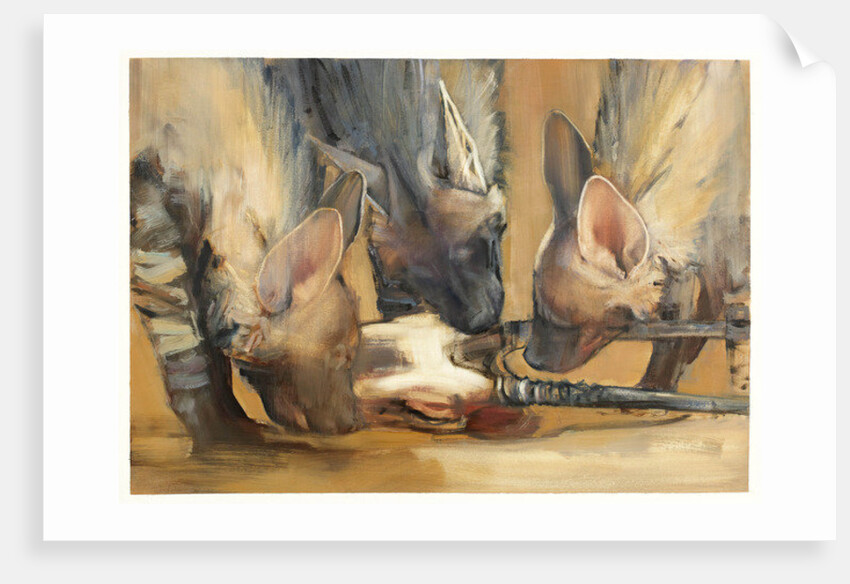 Pack Attack by Mark Adlington